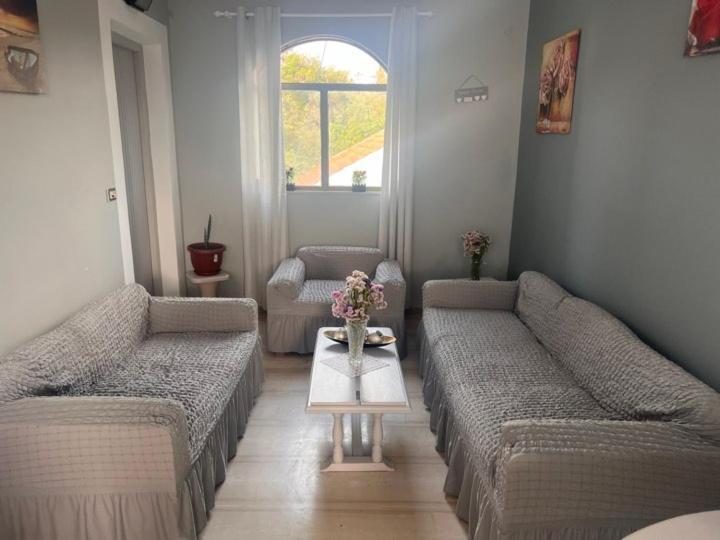 Thimioshouse Kávos